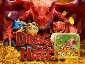 5637BET PIX instantâneo Brasil - Depósito e saque em minutos 24/7